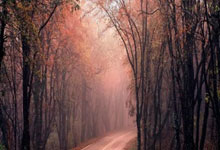 巴萨各赛季球衣都有哪些经典设计和故事？